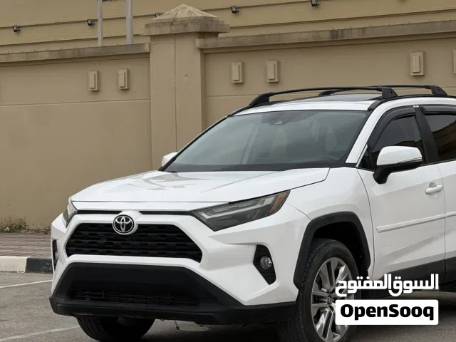 2019 Toyota RAV 4 XLE