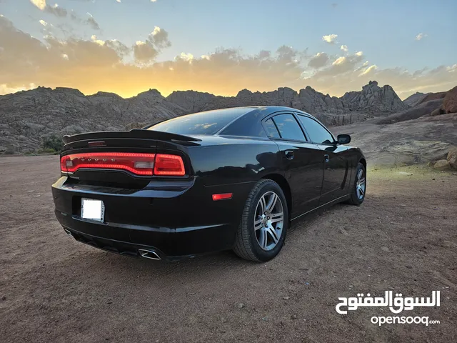 Dodge Charger R/T in Hail