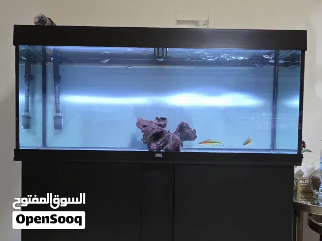 حوض سمك جويل للبيع