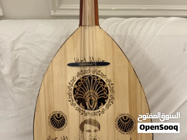 عود مع ريش مع شنطة