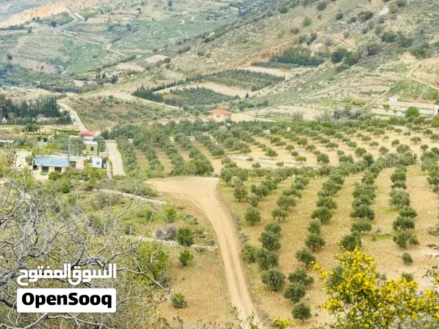 Mixed Use Land for Sale in Amman Mahes