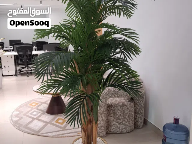 Large Artificial Plant 220cm – Realistic Fake Tree – Perfect Home Decor – Like New