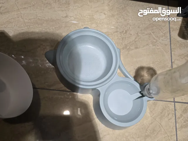 صحن طعام للقطط