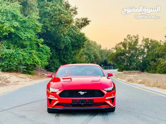 ‏FORD MUSTANG EcoBoost V.4 Turbo 2019