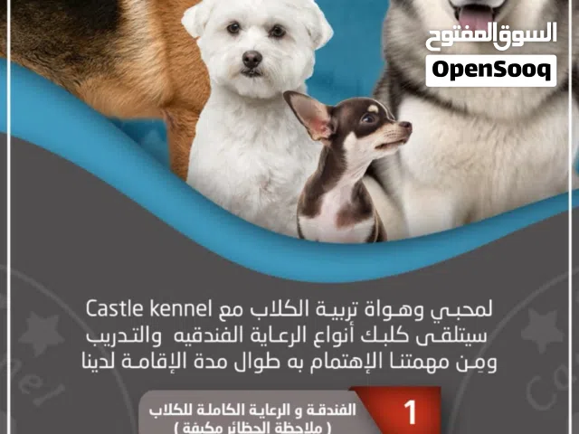 فندقة وتدريب كلاب على أعلى مستوى