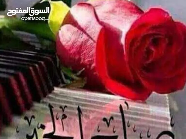 ام بشار