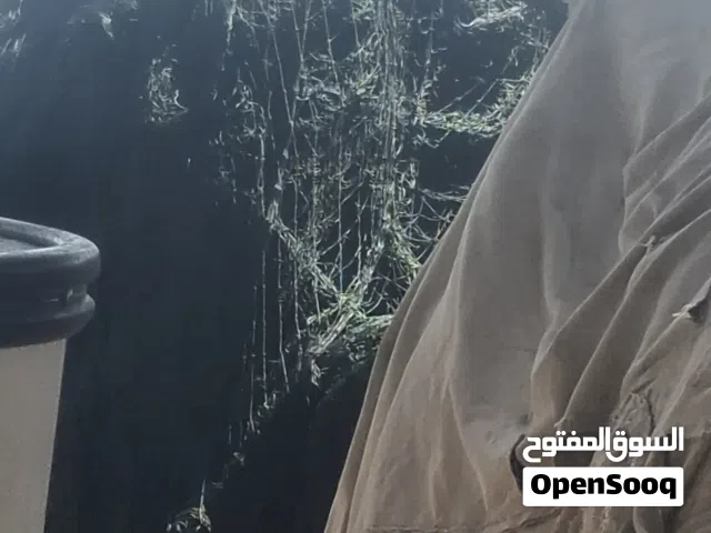 لياخ خيط 15  الرغب 12
