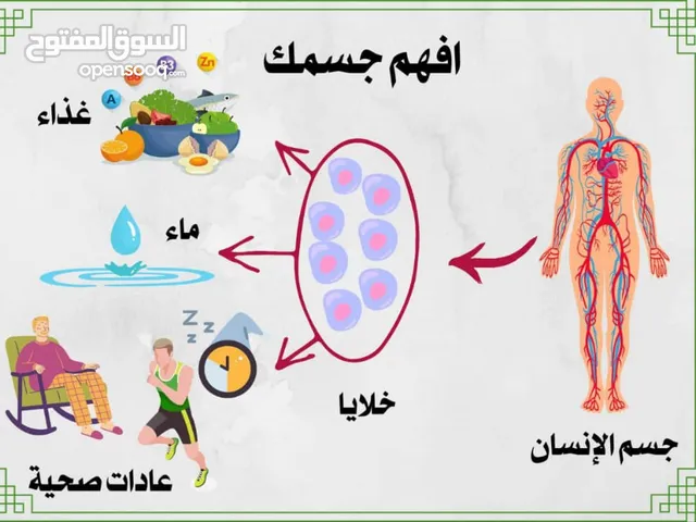 دورة أفهم جسمك