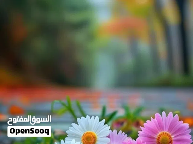 تسجيل للدراسات في الجامعات الايرانية