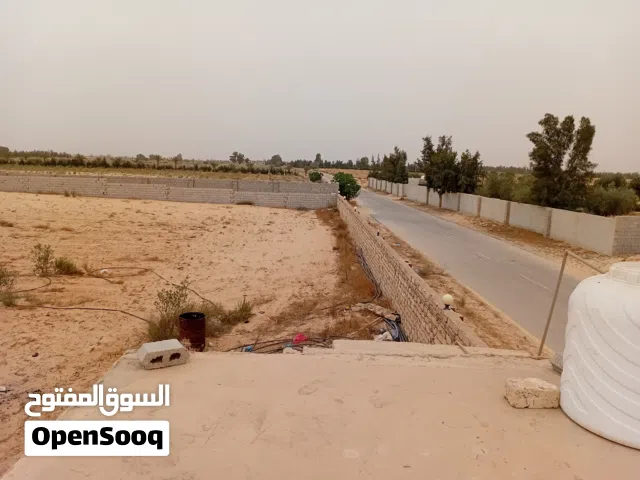 Farm Land for Sale in Jumayl Other