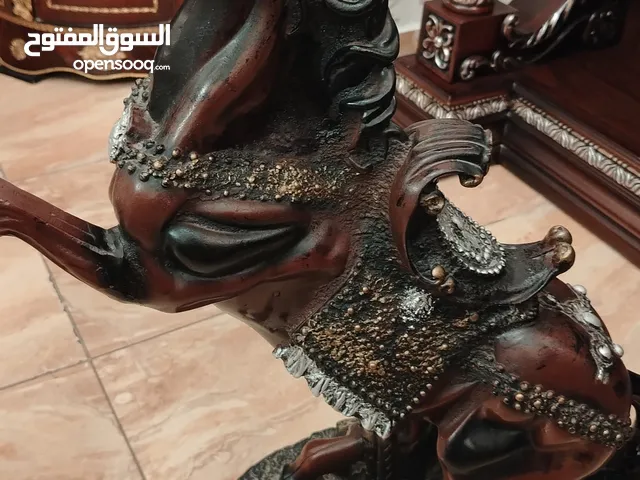 حصان فخم لبيع