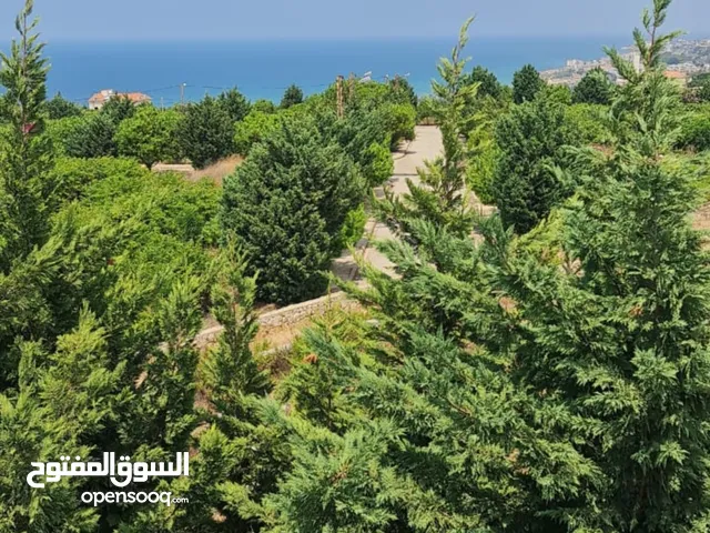 1300 m2 4 Bedrooms Villa for Sale in Chouf Rmayleh