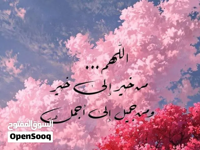 معلمة لغة عربية