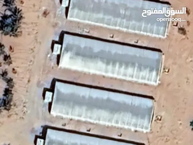 Farm Land for Rent in Abu Dhabi Other