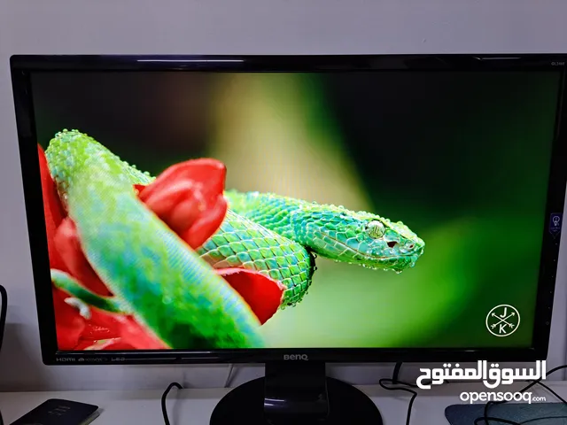 BENQ GL2460HM 1080p monitor