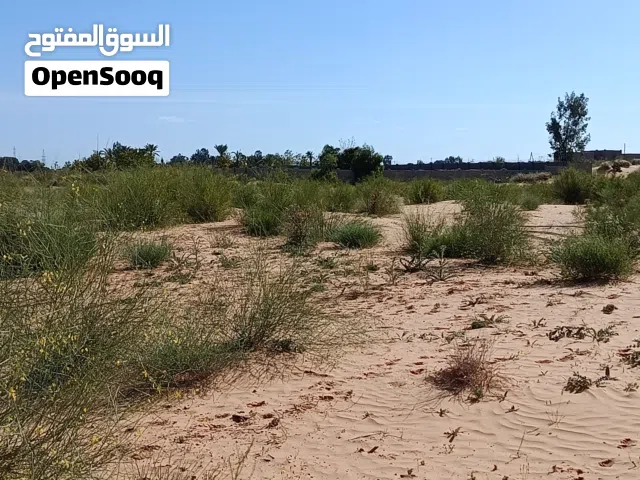 أرض للبيع 3 هكتار في بئر التركي