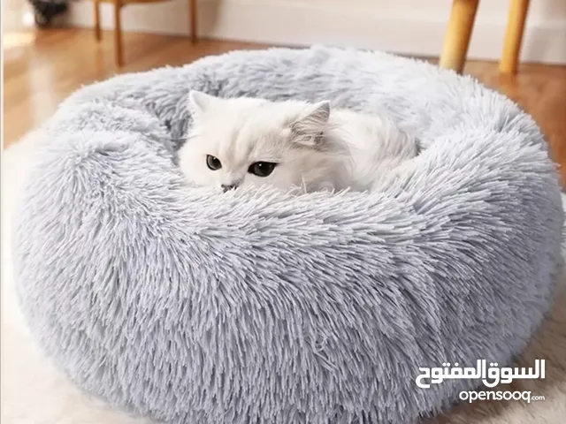 سرير للقطط