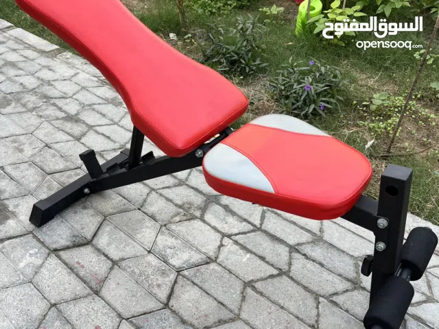 Adjustable Workout Bench for Home