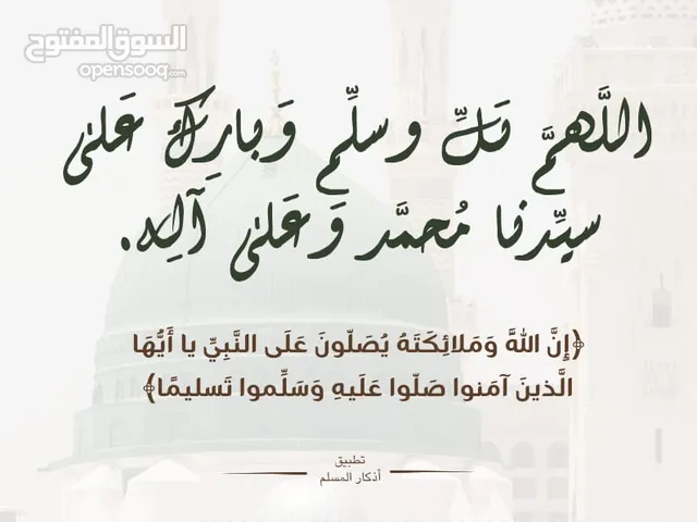 جاج بلدي عمر سنه تقريبا للبيع بسعر مغري جدا جدا