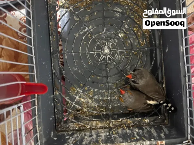 ،،،،،،،،،،،،،،،،،،،،،،،،،،،،،،،،،،،،،،،،،،،،،،،،،،،،،،،،،،،،،،،،،