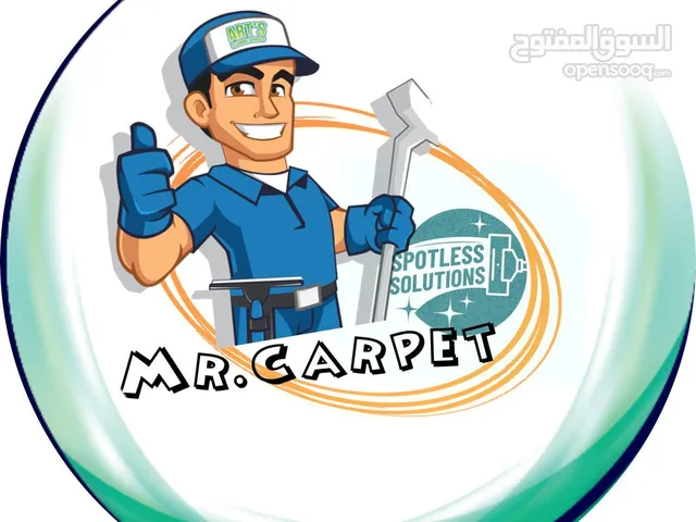 Mr carpet cleaner service sofa cleaning and carpet cleaning bed spots removed car interior cleaning