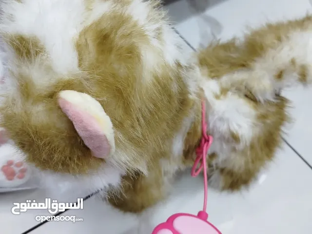قطط مميزة  وجميلة بعدة ألوان  يمكن تحريكها بجهاز تحكم عن بعد  أو بطاريات  متوفرة الآن