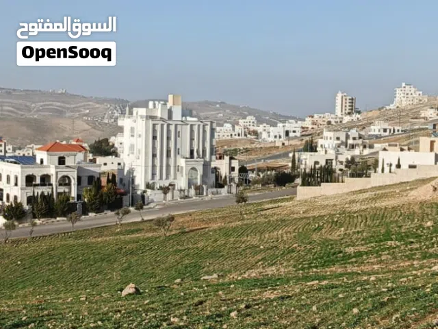 Residential Land for Sale in Amman Shafa Badran