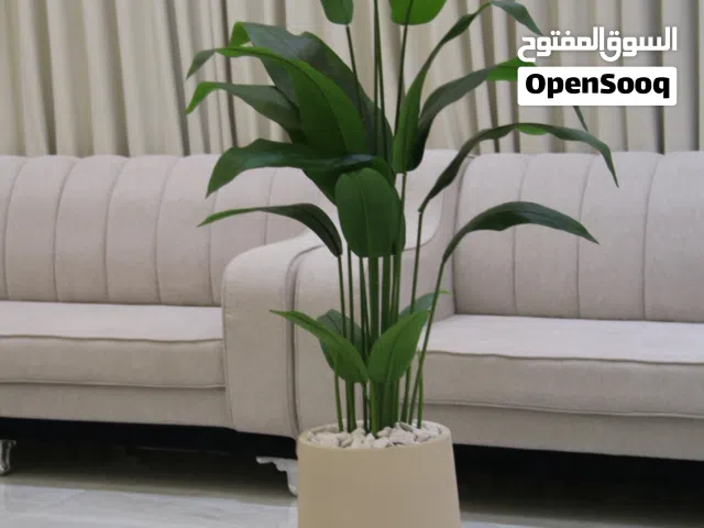 موز دبل مدموجات اثنين