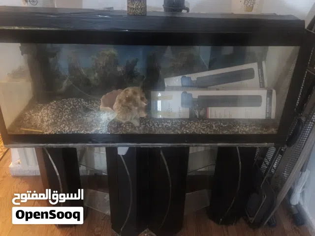 احواض سمك +زينة +فلاتر +دفايات ادفع بحق الله وشيل للبيع الكوم 60 دينار من الاخر