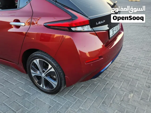 2020, نيسان, ليف, SV
