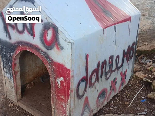 موجود بيت كلب للبيع