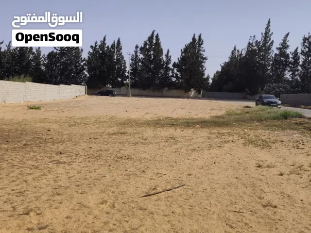 1500 م تجارية سكنية الباعيش مقابلة حوازة الورد