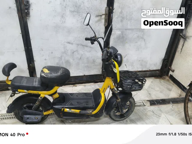 2024 اخرى اخرى