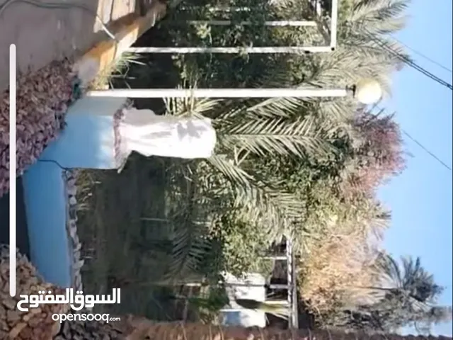 مزرعه و بستان و منتجع للبيع في كربلاء تبعد عن الامام 8 كم
