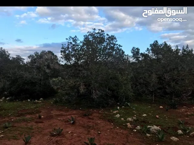 Mixed Use Land for Sale in Jebel Akhdar Bayda
