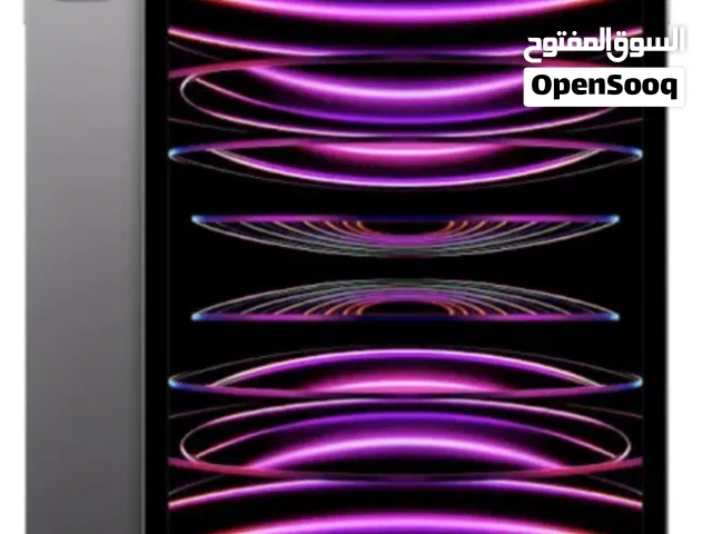 Apple iPad Other in Ajman