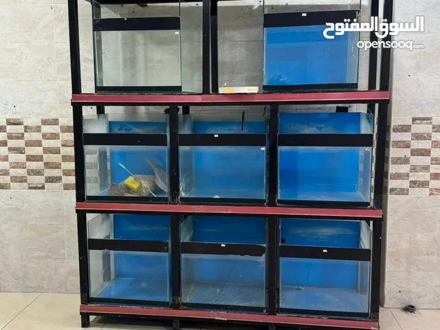 واجهه احواض سمك للبيع