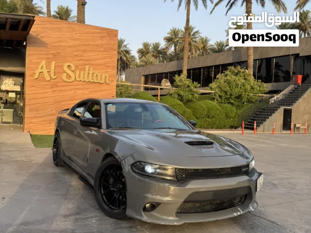 چارچر Rt اسمنتي 2019