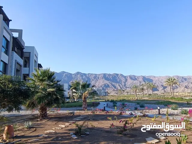 For Sale Fully Furnished Studio Apartment (Freehold community ) in Jabal Sifa