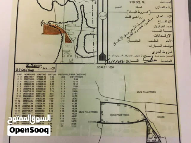 Farm Land for Sale in Buraimi Al Buraimi