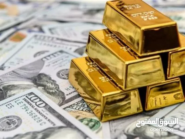 مطلوب ممول استثماري جاد لمشروع ناجح رأس المال بإسم الممول ، يوجد ضمانات