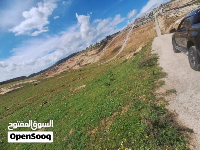 Farm Land for Sale in Irbid Sama Al-Rousan