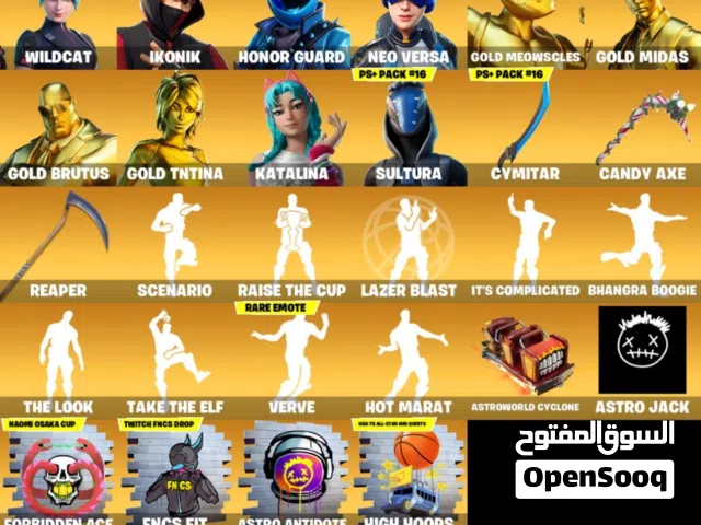 حساب فورت نايت نادر للبيع IKONIK + Wildcat + Honor Guard + Scenario 203 سكن  261 رقصة  157 اكسات