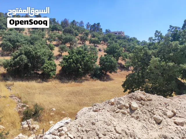 Residential Land for Sale in Amman Abu Al-Sous
