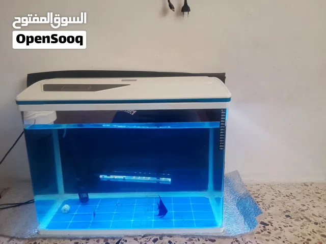حوض سمك اجنبي