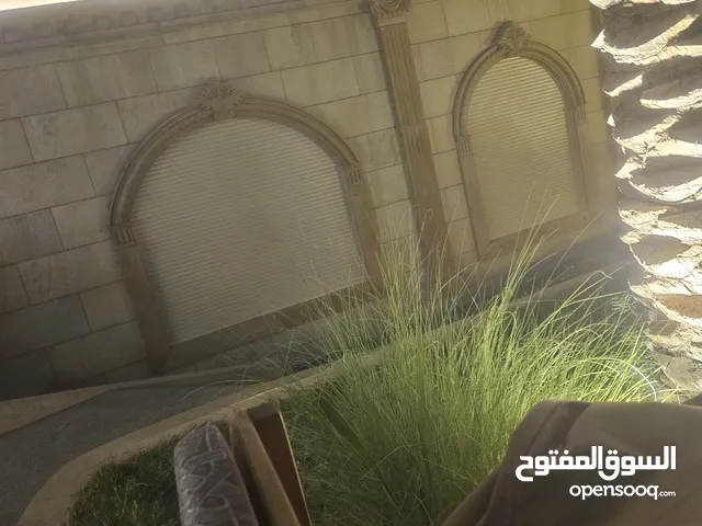 50 m2 Studio Apartments for Rent in Hawally Hawally