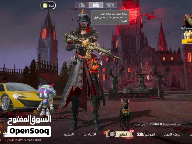 Pubg Accounts and Characters for Sale in Al Rayyan
