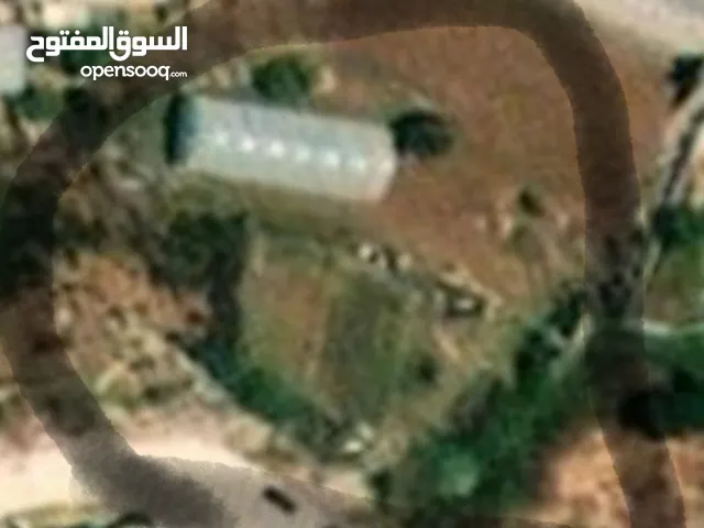 ارض للبيع بمساحة ما يقارب 800 متر وسط البلد تصنيف تجاري من المالك مباشرة