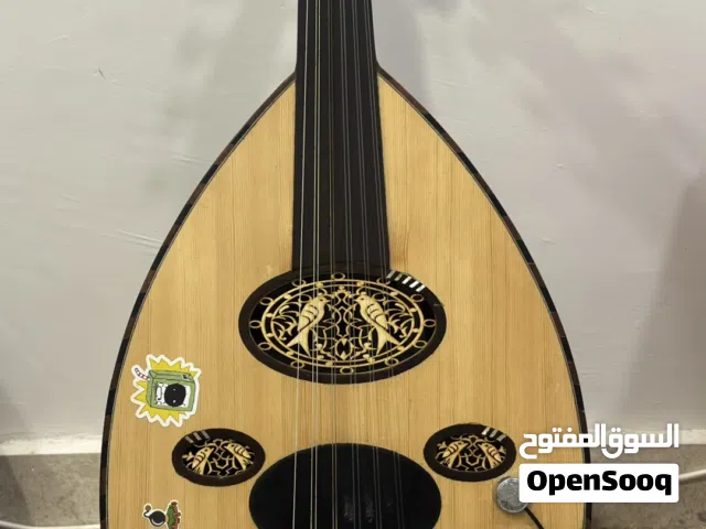 عود مصري احترافي مع مايك للحفلات والجلسات