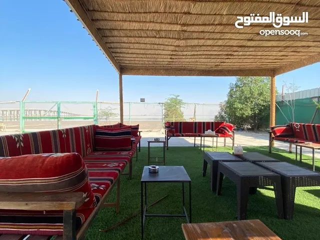 5 Bedrooms Farms for Sale in Al Jahra Al-Sabiya